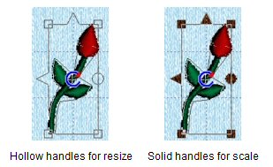 Scale/Resize selection handles